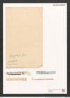 Surirella bengalensis Grun. (de-Toni-Nr.: Genus 53, Species 2389) Zeichnungen Sammlung Grunow (NHMW-BOT-W0372939)